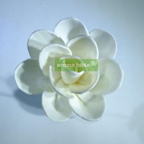 1000 pcs /lot Handmade sola wood flowers for fragrance diffuser and home decor with 12cm Rope or rattan reed sticks Top quality