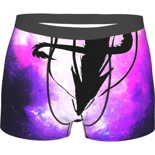 Mens Panties Chihiro And Haku Men Boxer Underwear Cotton for Male Spirited Away Chihiro Japanese Animated Large Size Lot Soft