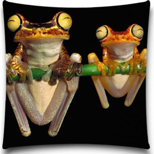 Cute frog pattern Pillow case cotton polyester 2d Printed For Soft Throw Chair Seat home decoration Cushion cover