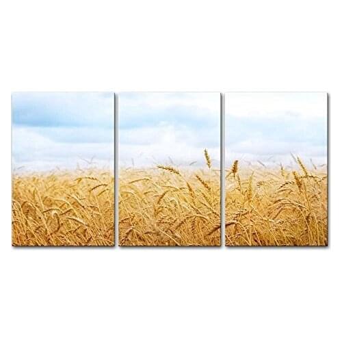 3 pieces framed Wall Art Picture Gift Home Decoration Canvas Print painting wheat fields wholesale/XJDC-1-300/253