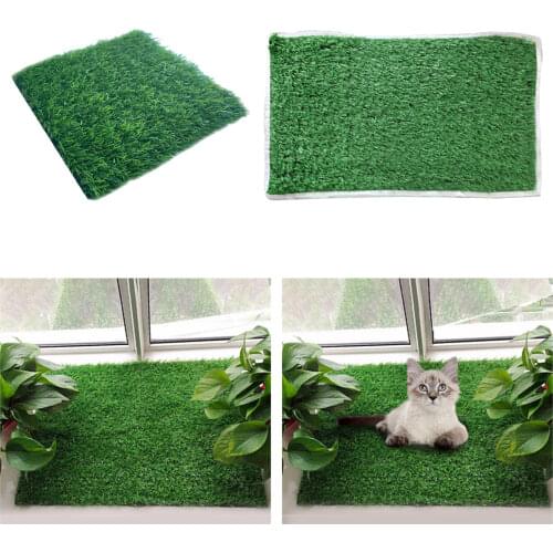 Пеленки и памперсы для животных Baoblaze China At AliExpress