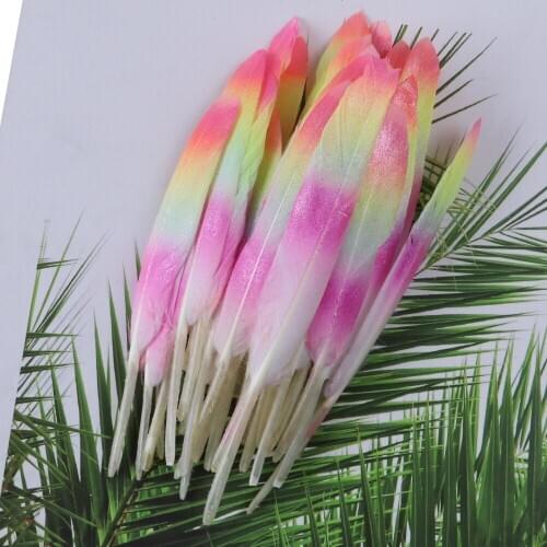 15pcs/lot Pink Goose feather 10-15cm Jeweler Decorative feathers home Party clothing dress sewing plume Crafts