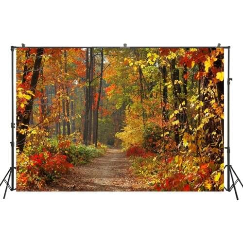 HUAYI Photography Backdrop Halloween Autumn Forest Photo Booth Background Newborns Child Studio Natural Landscrape PropsW-4151