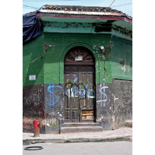 125*200cm Wholesale Photography Backdrops Hot Sale Studio Photo Studio Backgrounds Exterior Door For Wedding Portrait D-4965