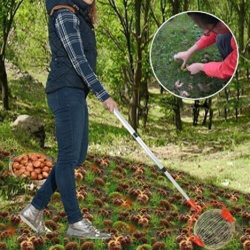 Walnuts Chestnuts Harvester Roller Nut Collector Retractable Aluminum Alloy Ball Garden Fruit Picker Family Orchards Tool