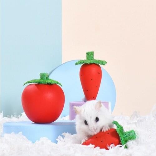 100Petcent Animal Care Items