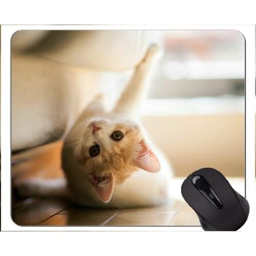 Mouse Pad with Stitched Edge,Kitten Pet cute cat Home Office Computer Accessories Mousepads