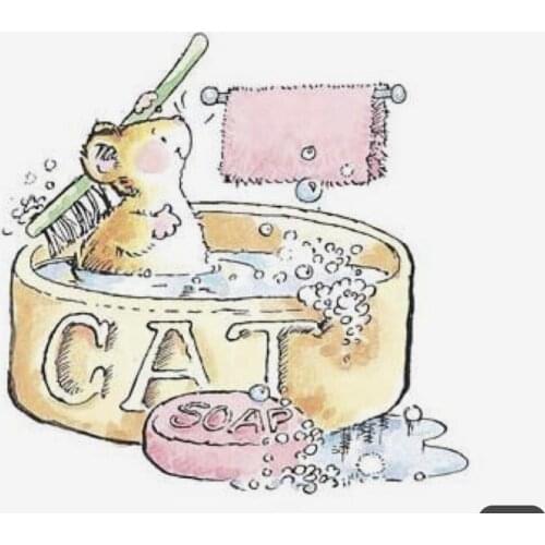 10x10 Bunny taking a shower New Transparent Clear Rubber Stamp Sheet Cling Scrapbooking Photo Album PaperCard DIY Craft