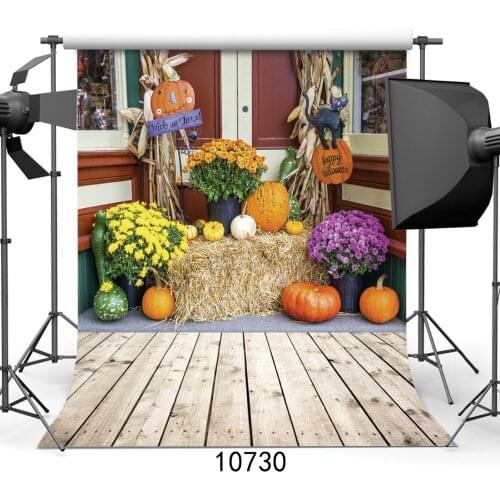 Happy Halloween Backdrop Harvest Pumpkins and Chrysanthemums on a Bale of Straw Backgrounds for Studio Party Newborn Photophone
