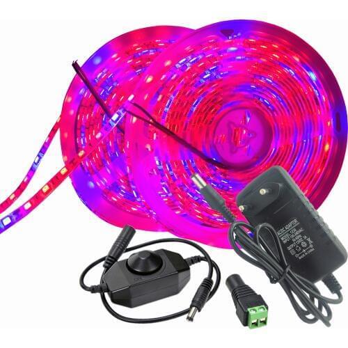 1M 2M 3M 5M LED Grow Lights 5050 LED Strip Light Full Spectrum LED Phyto Lamps Plant Lamp With 12V Power Adapter Dimmer Switch