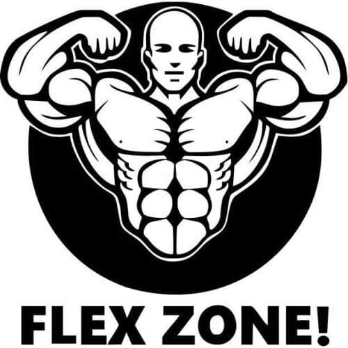 12.7CM*12.6CM FLEX ZONE! Car Sticker Fashion Vinyl S9-0007