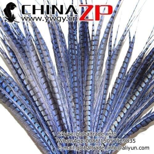 Made in CHINAZP Factory 50pcs/lot Size 36~40inch(90~100cm) Mari Gras Dyed Blue Lady Amherst Pheasant Tail Feathers