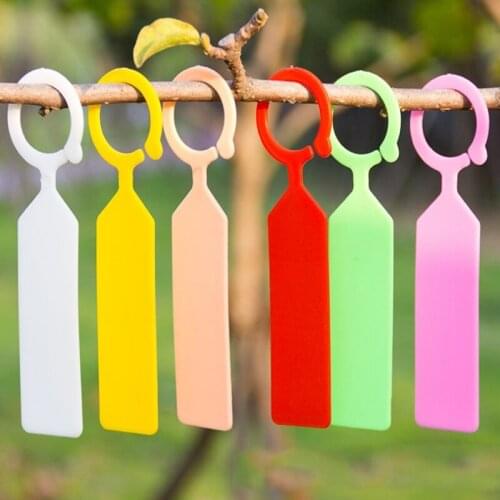 100Pcs Plant label Ring Plastic Hanging Tags Plant Pot Markers Waterproof Hook Mini Seed Signs Garden Decoration Part