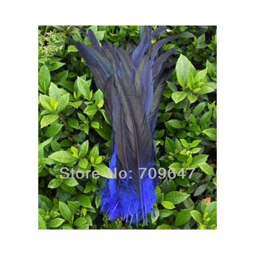 Blue Feather ! 50 Pcs/Lot Dyed Royal Blue Rooster Coque Tails Loose Feather 12 to 14 inches ,Loose Rooster Tails