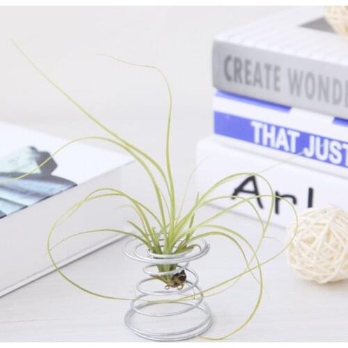 Air Plant Spring Wire Tabletop Tillandsia Holder Miniature Gardening Decorations P15D