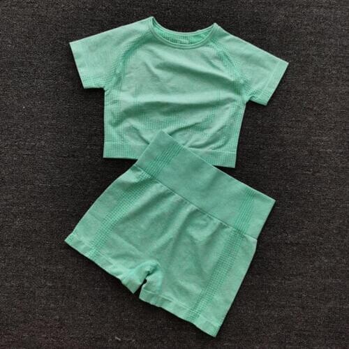 9 colors Women Summer Seamless yoga set Fitness Sports Suits GYM Clothing Yoga T-Shirts High Waist Shorts Workout Pants Shirts