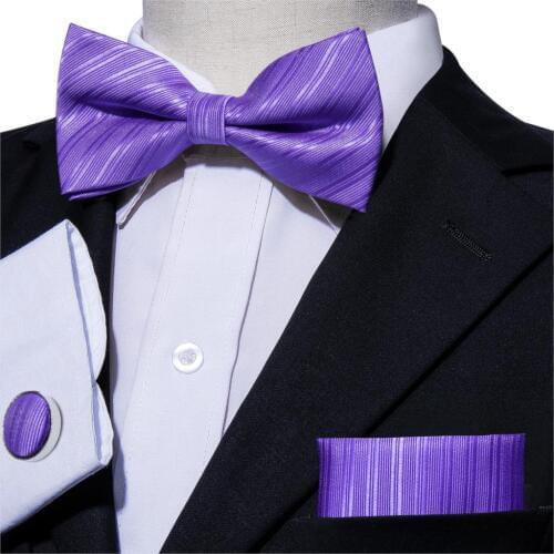 2019 New Bowtie for Men Silk Bow Ties Butterfly Tie Purple Cravat Striped Cufflinks Set Gift for Suit Tuxedo Barry.Wang WJ-812