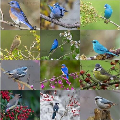 Blue Parrot 5D Diamond Painting Full Drill Embroidery Cross Stitch Handicraft Mosaic Rhinestone Accessories Home Decoration Gift