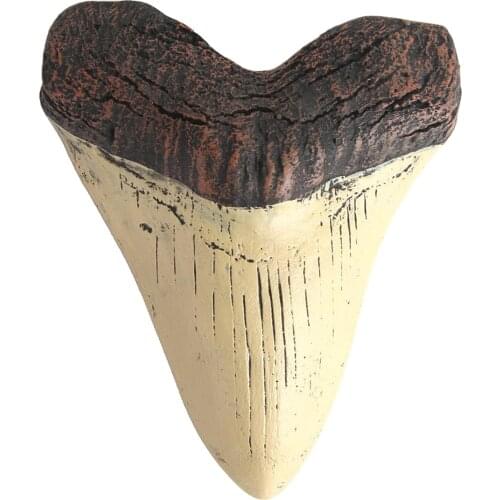 Resin Skeleton Shark Teerh Skull Sea Animal Tooth Sculpture Figurines Crafts Horns Home Decor Ornaments