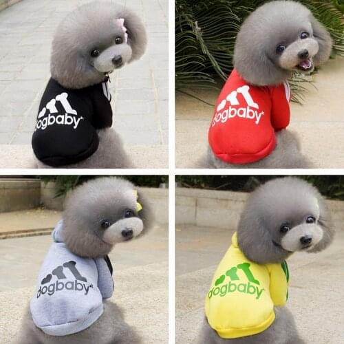 Dog Clothes for Small Dogs Cats Puppy Fashion Warm Hoodies Pet Clothing for Dog Letter Coat Jacket Yorkies Chihuahua Clothes