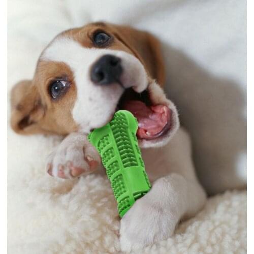 Super Soft Bone-shape Pet Dog Toothbrush Brushing Chew Toy Stick Dog Cat Teeth Cleaning Tool Oral Care Pet Dog Supplies Dog Gift