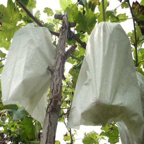 50pcs Pollen Pest Exclusion Grape Fruit Protection Insect Bags