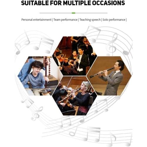 Professional Wireless Instruments Microphone Transmitter and Receiver 16CH