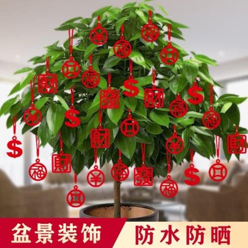 New house decorations for Christmas and new year