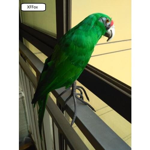 New real life parrot model foam&feather simulation green parrot bird gift about 45cm xf0182