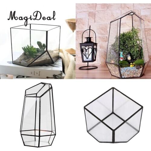 2 Set Glass Terrarium Hexagonal and Cube Shape Miniature Garden House Micro Landscape Greenhouse Decor
