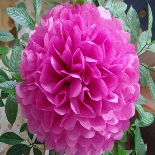 30 Colors Free Shipping 100 pcs 14" 35cm Tissue Paper Pom Poms Flower Balls Party Wedding Home Birthday Tea Party Decorations