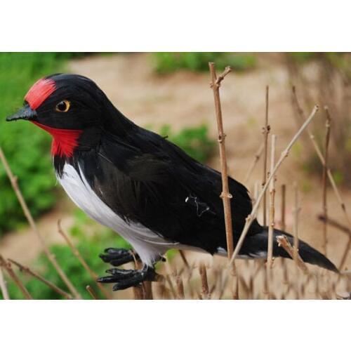 Free shipping bird model