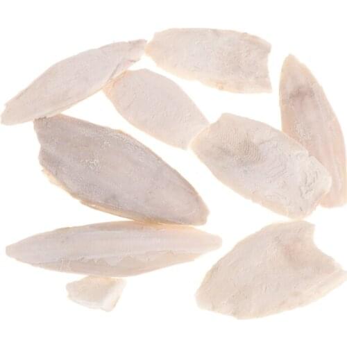 1 Bag Cuttlebone Cuttlefish Sepia Bone Cuttle Fish Bird Food Calcium Pickstone Pet
