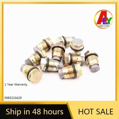 Common Rail Relief Limit Pressure Valve 1110010024 111001002511100100261110010027