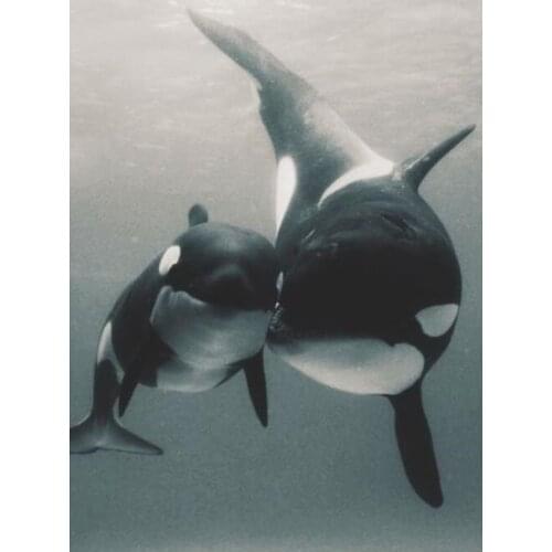 Full Round DrillDIY 5D Diamond Painting Whale Cross Stitch Square Full Diamond Embroidery Patterns Rhinestones Diamond Mosaic