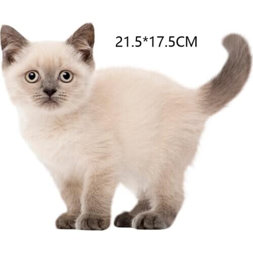 Three Ratels british shorthair cat b&q childrens wall stickers wall stickers for bathroom wall sticker decals custom