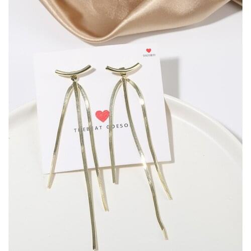 Punk S925 Needle Fashion Earrings Temperament New Net Red Temperament Snake Bone Tassel Gold Long Female Earrings Resin