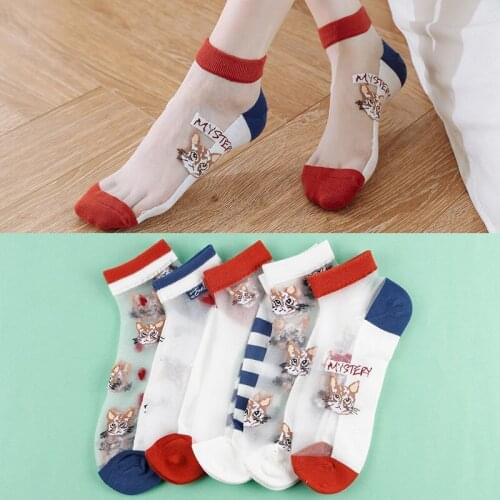 5 pairs of summer new style glass silk stockings crystal silk womens socks transparent cartoon ice silky cotton socks