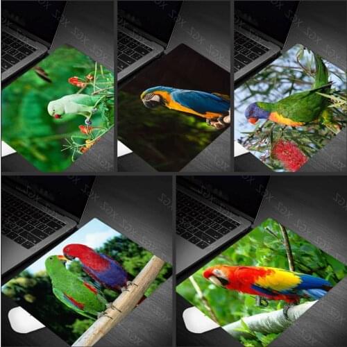 Yzuoan Parrot Brothers Laptop Mouse Pad Gamers Non-slip Mouse Pad Universal Comfort Pad Cute Girl Mouse Computer Pad Rectangle