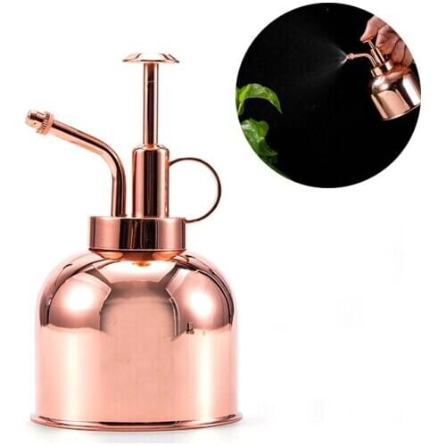 Thicken 304 Stainless Steel Premium 300ml Watering Can Spray Kettle Metal Tank Potted Houseplant Home Favors 2020 New