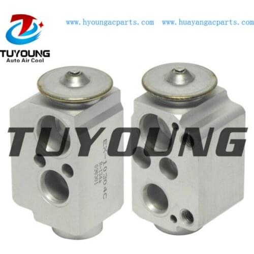 AUTO AC A/C Expansion Valve block Valve for BMW 128i 135i X1 X3 320i E81 E88 E90 64119226078 64119182512 64116934406 64116981484