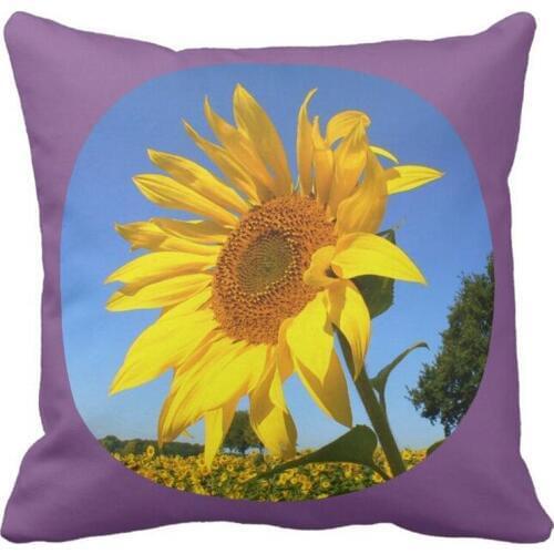 Sunflower 01.1.9rd, Field of Sunflowers Throw Pillow case
