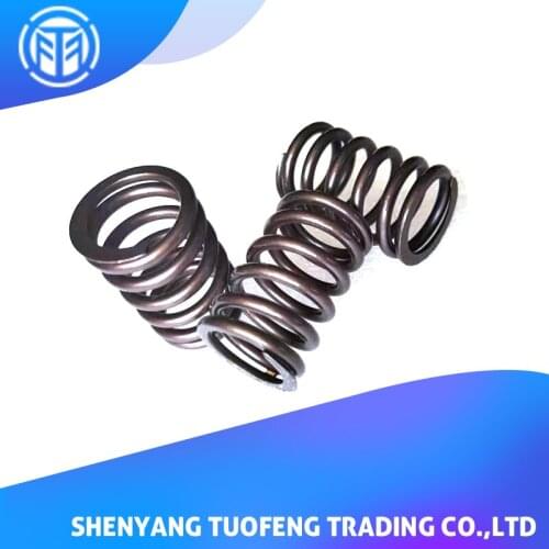 T.DI Common Rail Plunger Spring for CUM-MIN M11