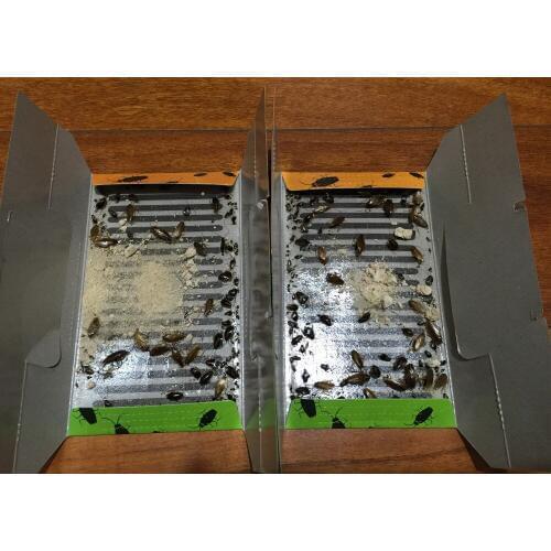 High Quality Mr.Bug Cockroach Trap, Also for Other Pests Ants Spiders Lizard Floaters Termites Beetles Small Rats Snakes Control