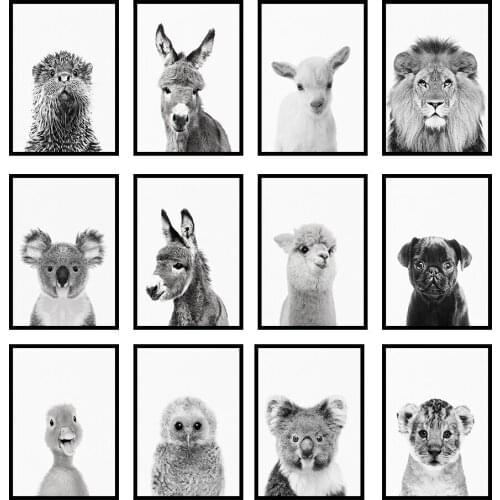 Baby Lion Print Black and White Little Nursery Donkey Minimalist Animal Art Koala BearPug Puppy No Frame Wall Painting
