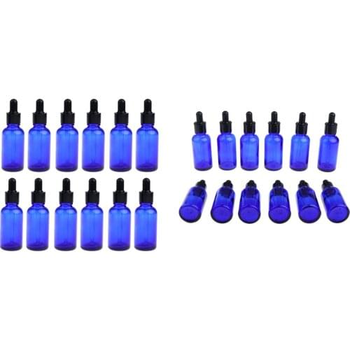 24 Pcs Glass Bottles for Essential Oils Refillable Empty Dropper Bottles - DIY Blends Supplies Accessories