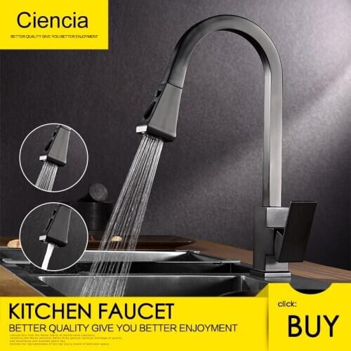 Ciencia Kitchen Faucets