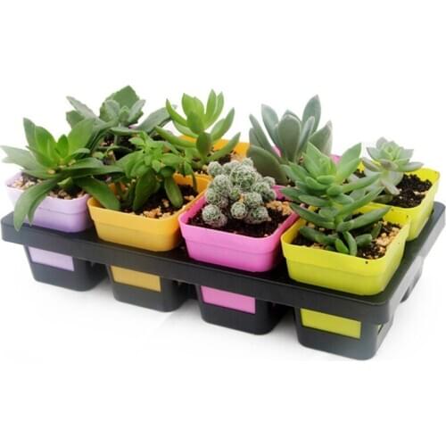 Поддоны для горшков DesertCreations China At AliExpress