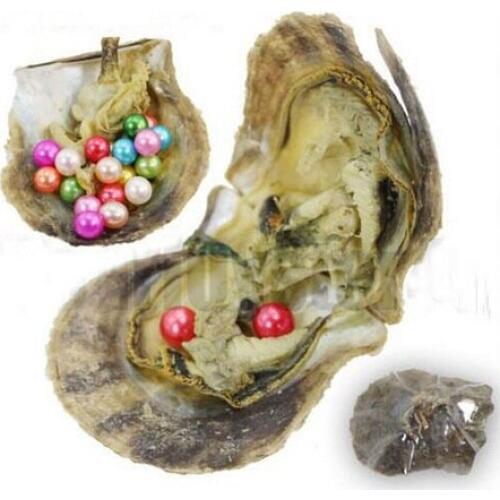 Trendy Natural Freshwater Pearls AAA Twins Round Pearls in Akoya Oysters, 7-8MM Mixed Colors, Christmas Gifts 10pcs/lot ABH742