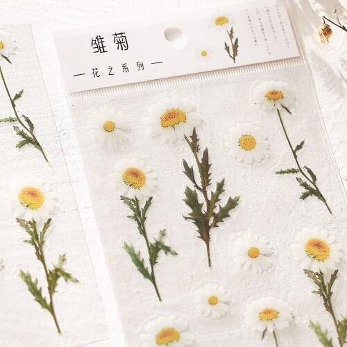 PET Daisy Iris Eucalyptus Globulus Flower Serie Bullet Journal Decorative Stationery Stickers Scrapbooking DIY Diary Album Stick